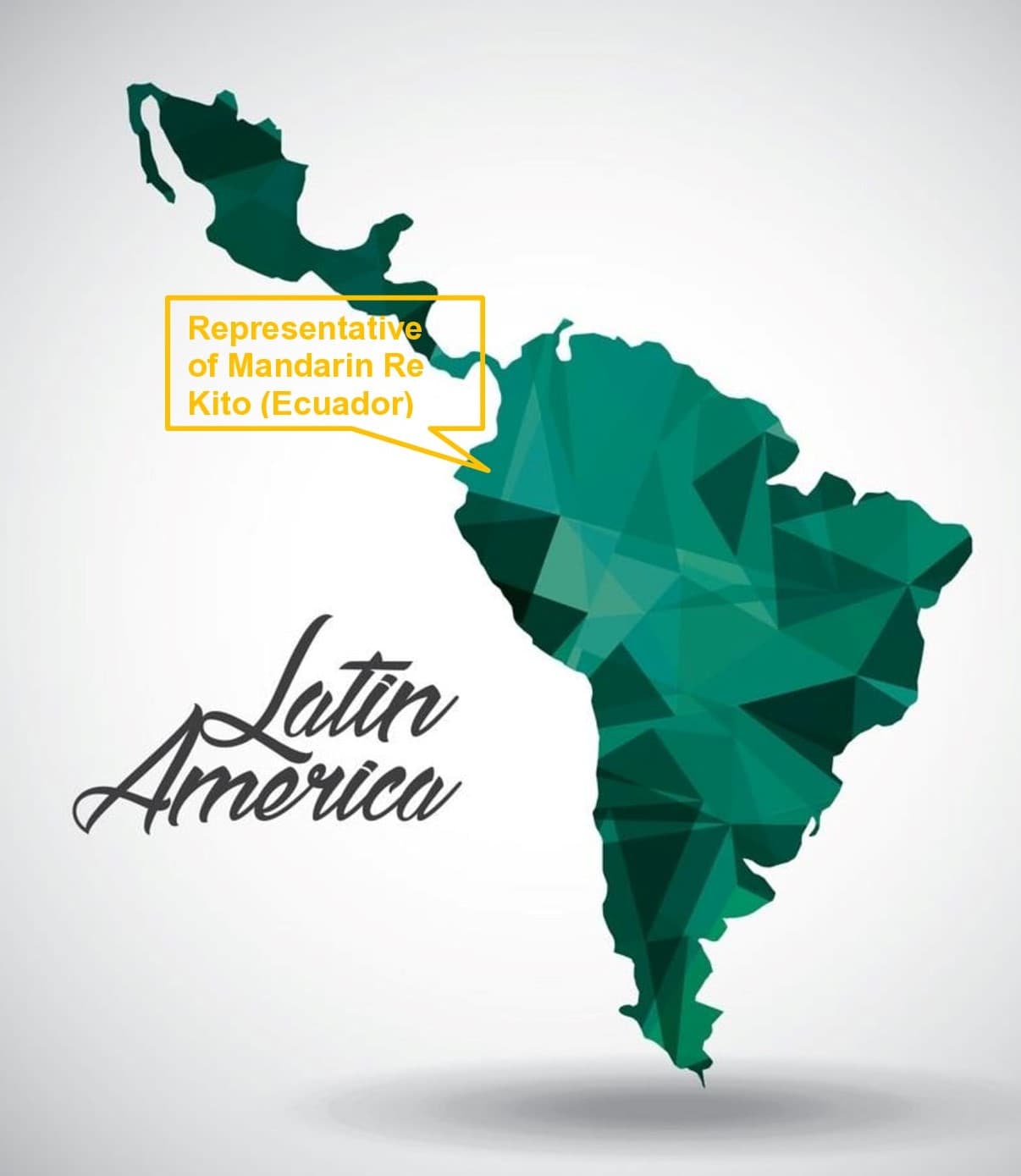 MANDARIN RE STRIVES TO STRENGTHEN ITS POSITIONS IN LATIN AMERICA