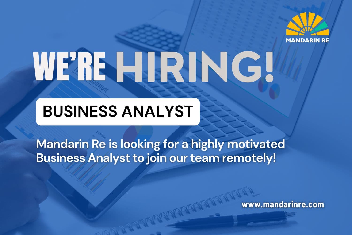 Mandarin Re is Hiring: Business Analyst (Remote Position)